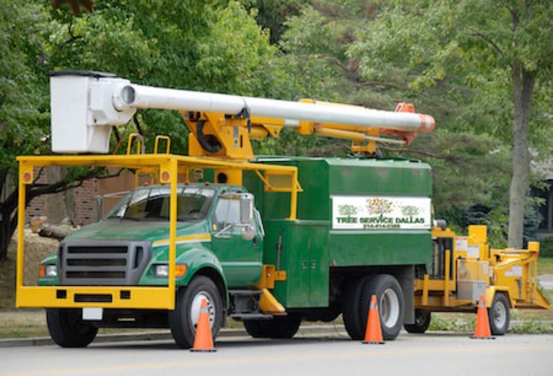 {SERVICE_NAME} project in Grapevine