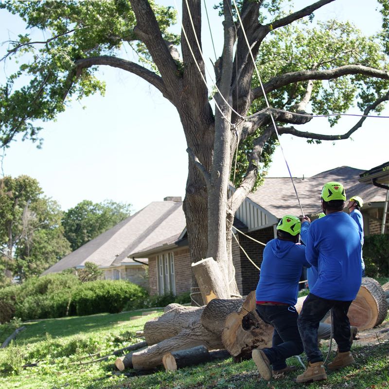 {SERVICE_NAME} project in Grapevine